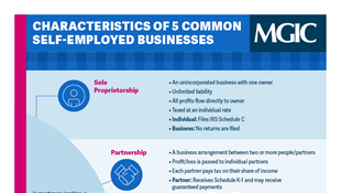 71-43866 5 Common SEB Businesses