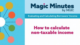 Non Countable Income Borrowers' Income | MGIC